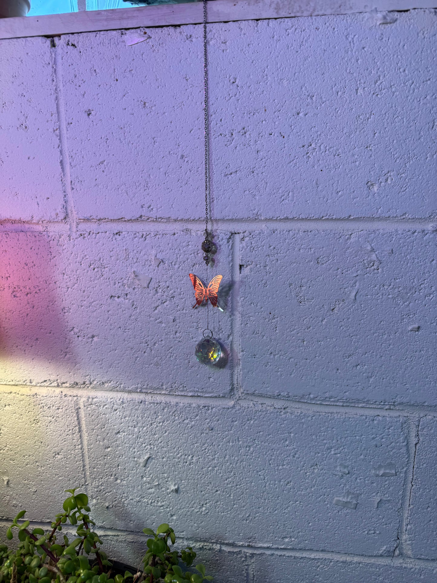 Butterfly suncatcher