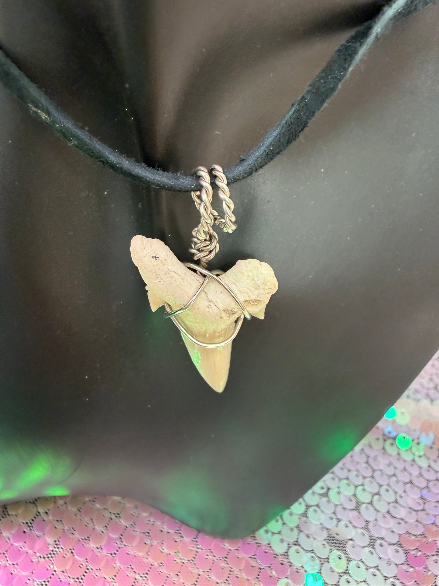 Shark tooth
