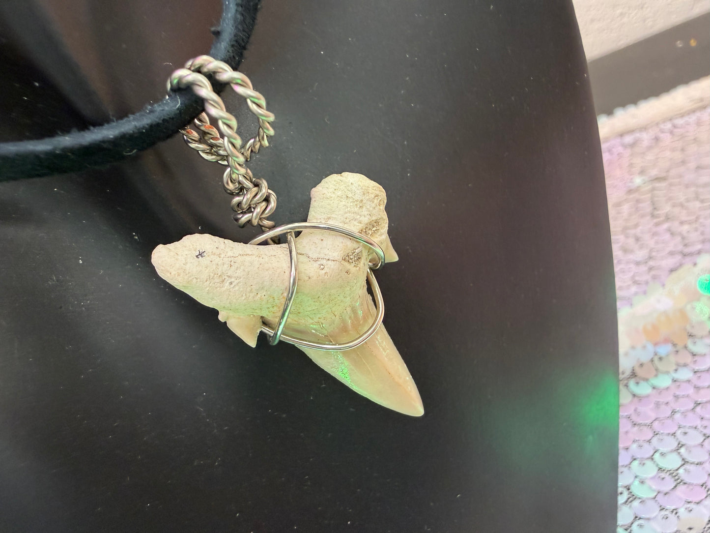 Shark tooth