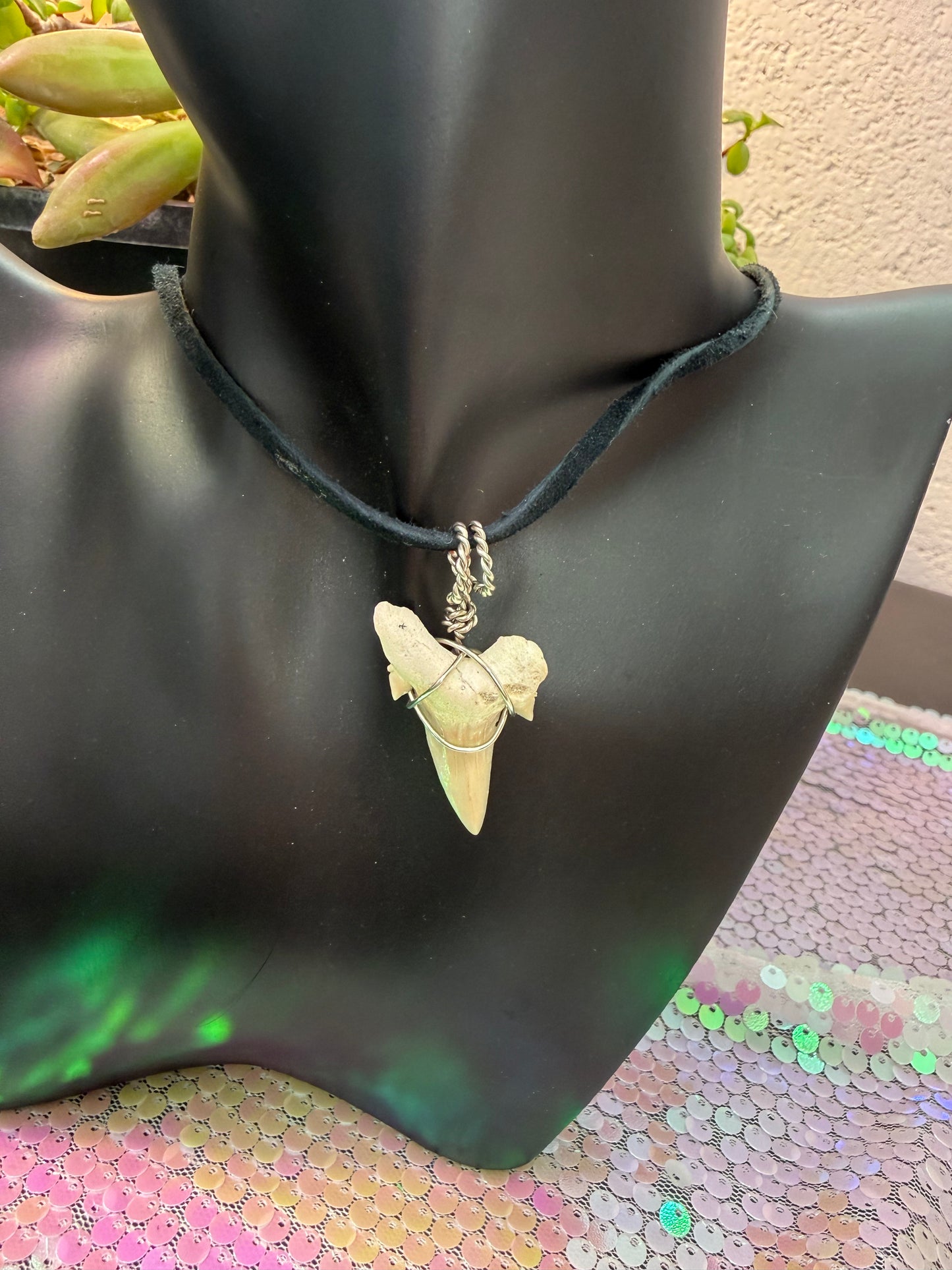 Shark tooth